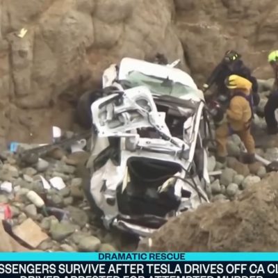 Tesla Driver Deemed Psychotic