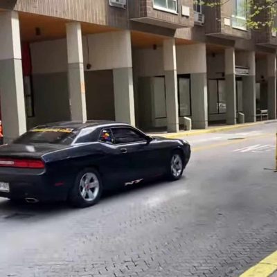 A Dodge Challenger Is Terrorizing NYC Residents Using Animal Sounds